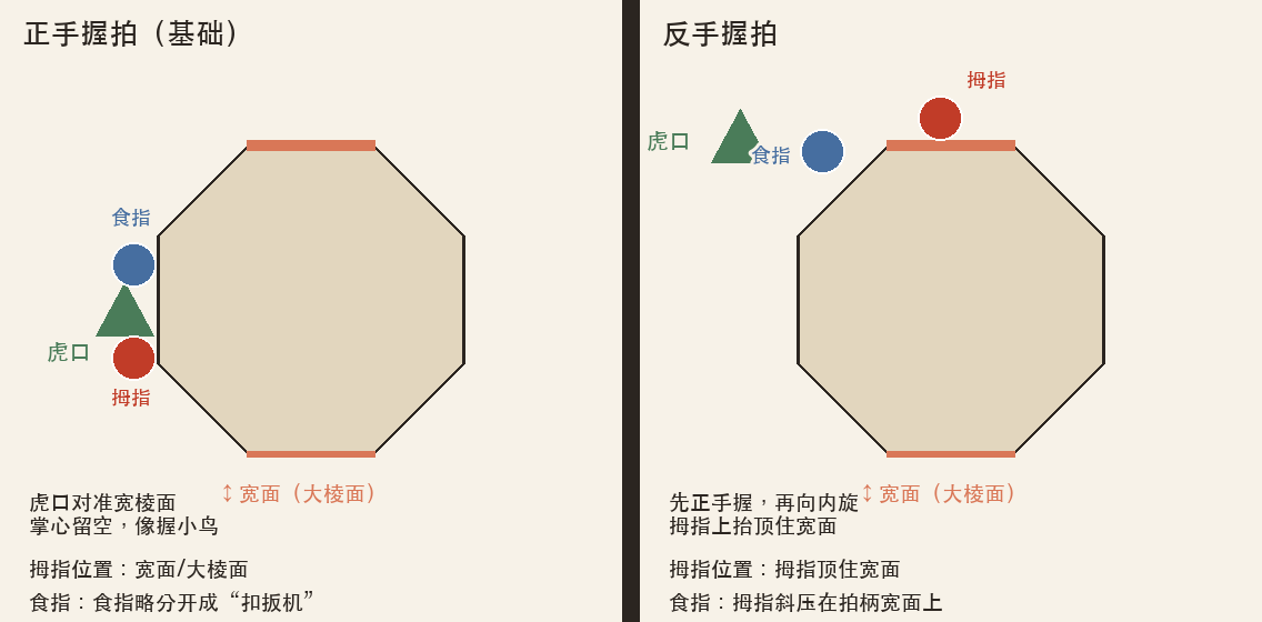 正反手拍截面示意图